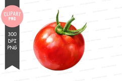 Fresh tomato clipart png Product Image 1