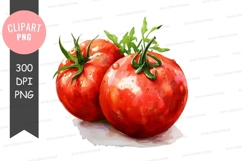 Fresh tomatoes clipart png Product Image 1