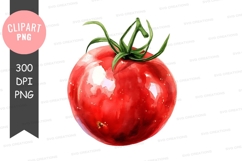 Fresh tomato clipart png Product Image 1