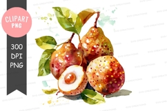 Watercolor illustration of pears Product Image 1