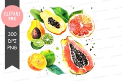 Assorted citrus fruits clipart png Product Image 1