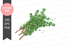 Fresh thyme bundle clipart png Product Image 1