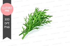 Fresh rosemary clipart png Product Image 1