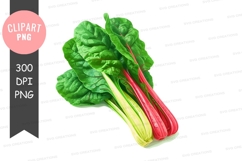 Fresh swiss chard clipart png Product Image 1