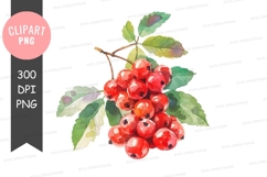 Vibrant red berries with leaves clipart png Product Image 1