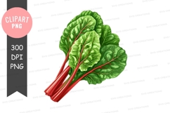 Fresh swiss chard clipart png Product Image 1