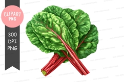 Fresh swiss chard clipart png Product Image 1