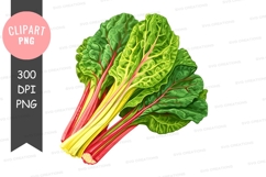 Fresh swiss chard clipart png Product Image 1