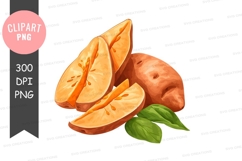 Freshly cut orange clipart png Product Image 1