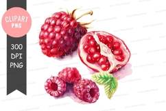Assorted berries clipart png Product Image 1