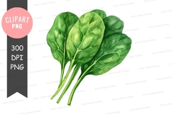 Fresh spinach leaves clipart png Product Image 1