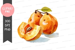 Juicy apricots clipart png Product Image 1