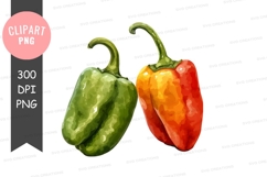 Colorful bell peppers clipart png Product Image 1