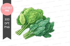 Fresh spinach leaves Product Image 1