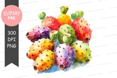Colorful prickly pear cacti clipart png Product Image 1