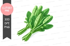 Fresh spinach leaves clipart png Product Image 1