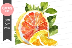 Vibrant citrus slices clipart png Product Image 1