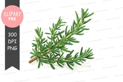 Fresh rosemary sprig clipart png Product Image 1