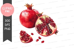 Pomegranate clipart png Product Image 1