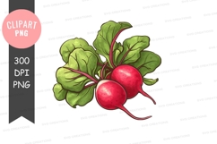 Fresh radishes clipart png Product Image 1