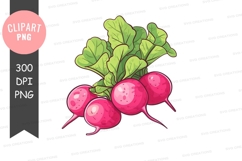 Fresh radishes clipart png Product Image 1