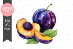 Plum clipart png Product Image 1