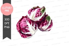 Three heads of radicchio Product Image 1