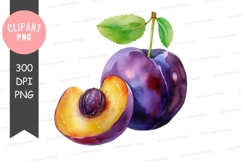 Watercolor plum clipart png Product Image 1