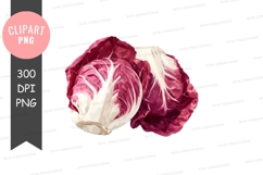 Red cabbage clipart png Product Image 1