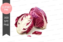 Red cabbage clipart png Product Image 1