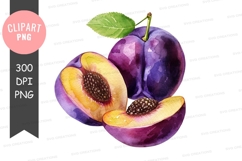 Watercolor plum clipart png Product Image 1