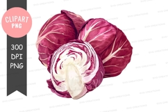 Red cabbage clipart png Product Image 1