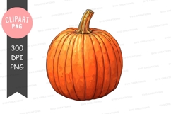 Vibrant orange pumpkin clipart png Product Image 1