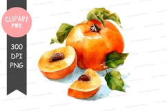 Watercolor illustration of persimmons Product Image 1
