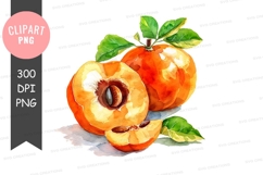 Watercolor illustration of persimmons Product Image 1