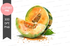 Sliced cantaloupe clipart png Product Image 1