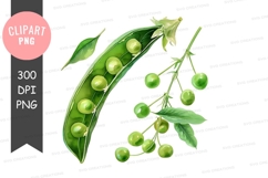Fresh green peas clipart png Product Image 1
