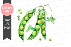 Fresh green peas clipart png Product Image 1