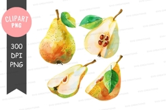Watercolor pears clipart png Product Image 1