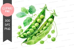 Fresh green peas clipart png Product Image 1