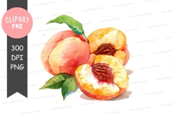 Watercolor illustration of peaches Product Image 1
