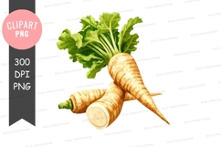 Fresh carrots clipart png Product Image 1
