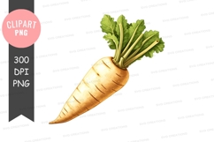Fresh carrot clipart png Product Image 1