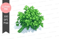 Fresh parsley clipart png Product Image 1
