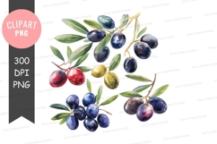 Watercolor illustration of olives Product Image 1