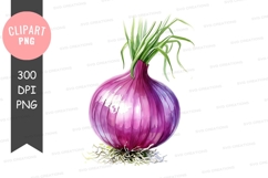 Purple onion clipart png Product Image 1