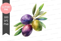 Watercolor illustration of olives Product Image 1