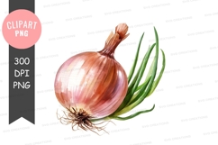 Watercolor painting of an onion Product Image 1