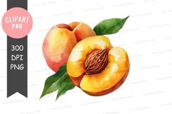 Watercolor illustration of peaches Product Image 1