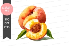 Peach clipart png Product Image 1